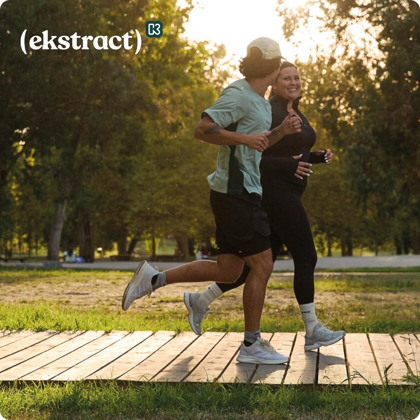 (ekstract)