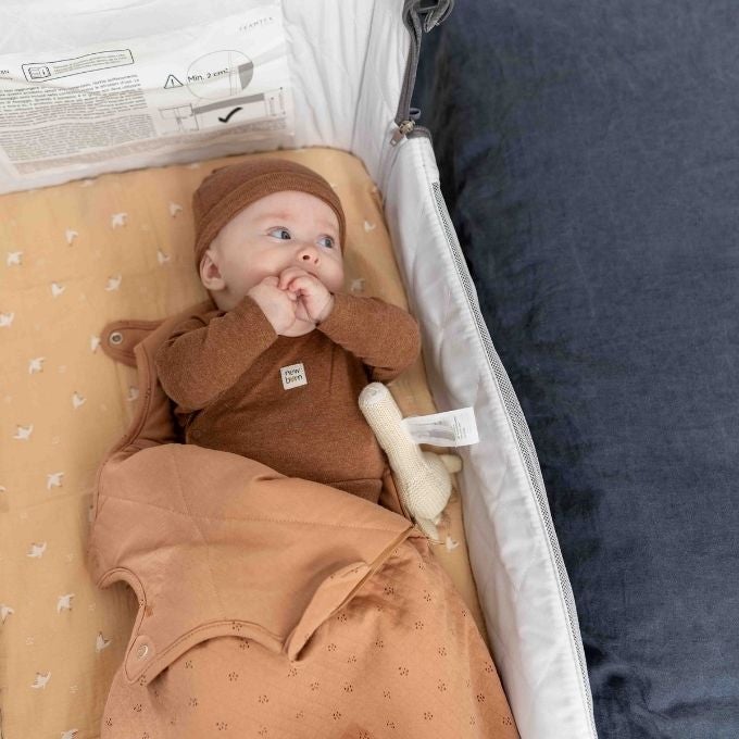 bébé dans une cododo au bord d'un lit